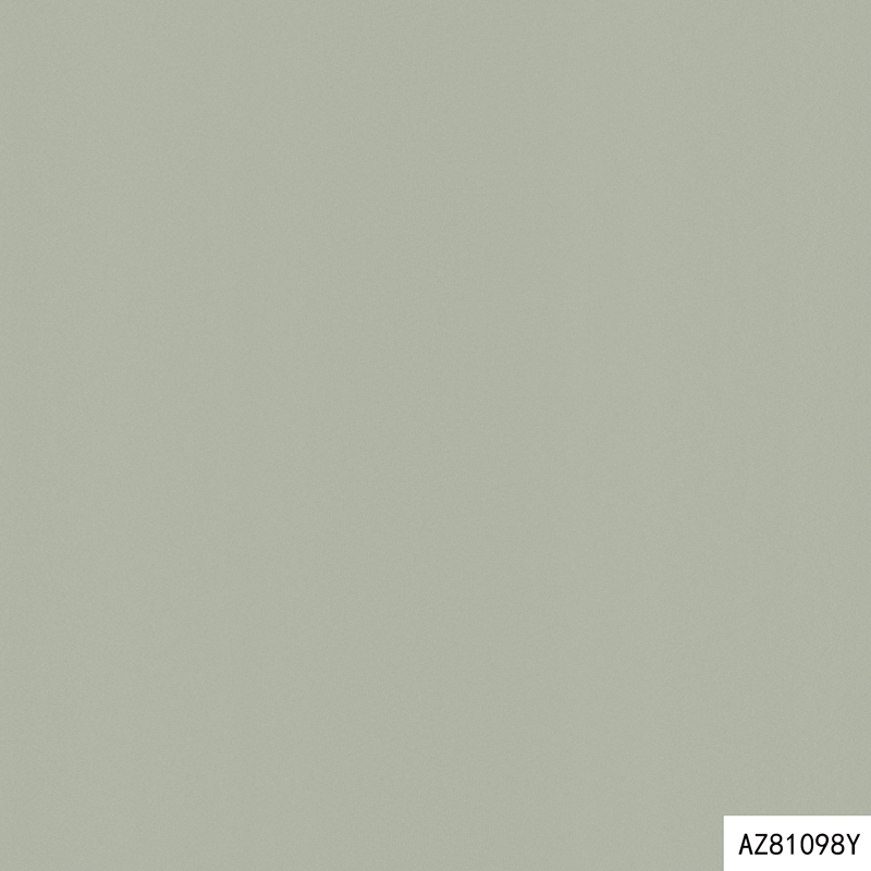 AZ81098Y