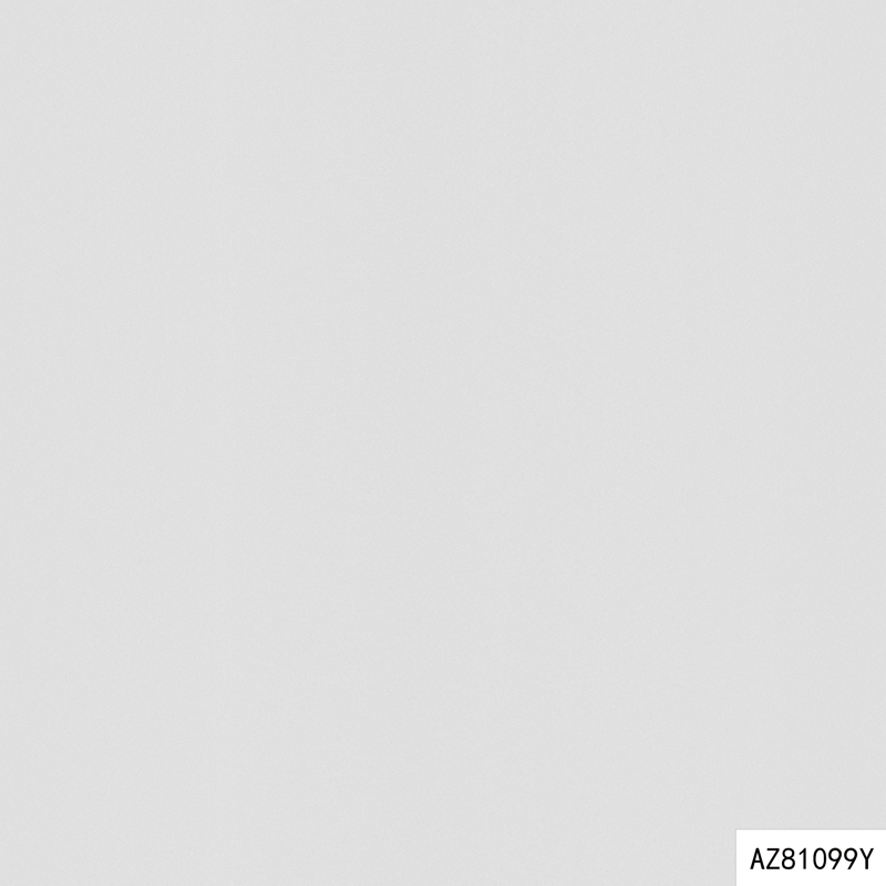 AZ81099Y