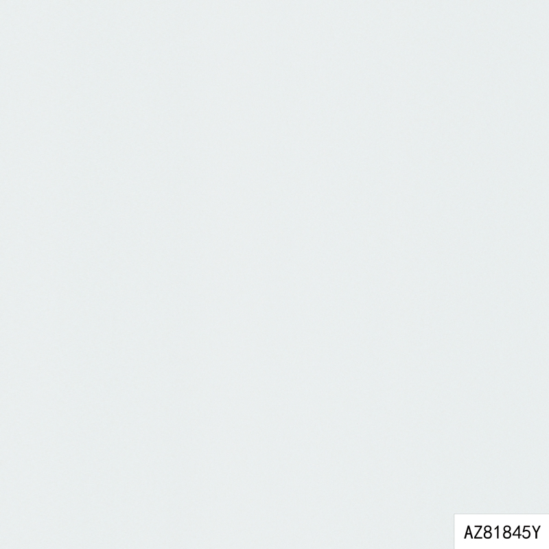 AZ81845Y