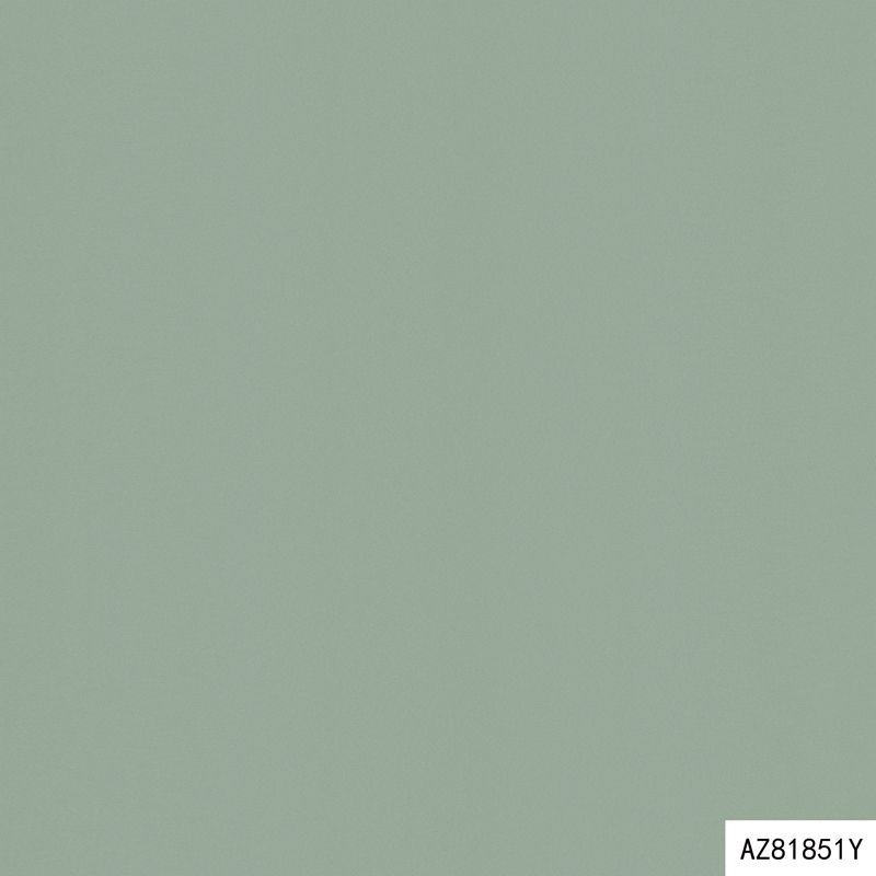AZ81851Y