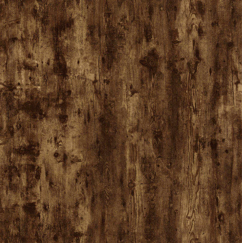 H0809_new